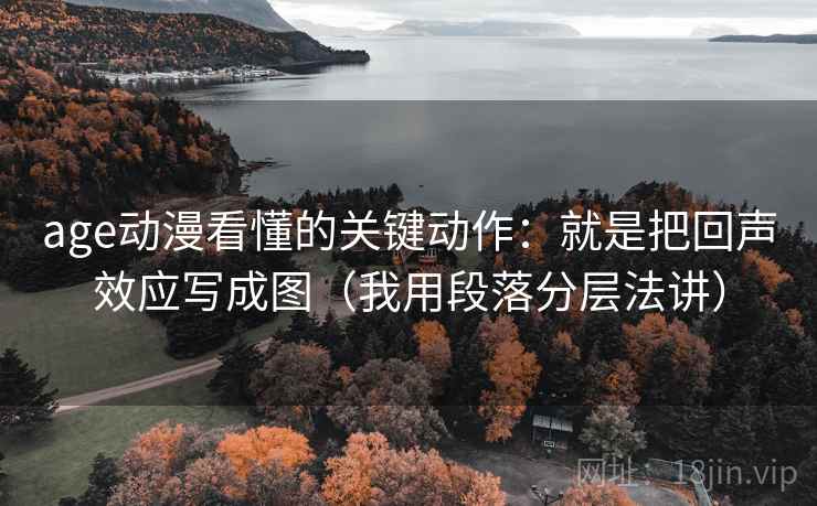 age动漫看懂的关键动作：就是把回声效应写成图（我用段落分层法讲）